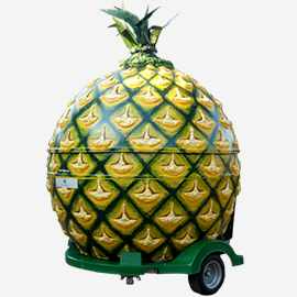 our product